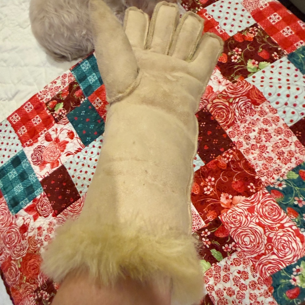 LIMITED TIME: 3 FOR $30. WOMEN'S SIZE 6-7 GLOVES - Picture 4 of 5